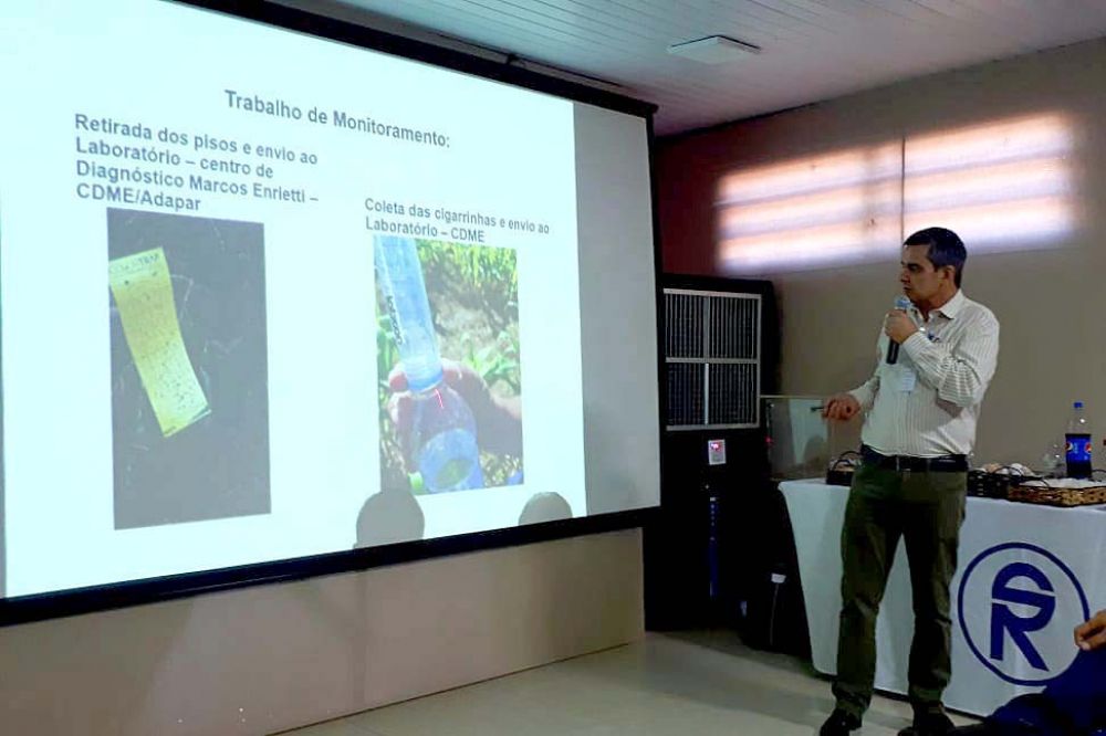 Retirada de milho tiguera e rotação de cultura são armas contra cigarrinha. A orientação foi apresentada pela Agência de Defesa Agropecuária do Paraná (Adapar) nesta quarta-feira (12) na 61.ª Exposição Agropecuária e Industrial de Londrina (ExpoLondrina) (Foto: Adapar-Paraná)