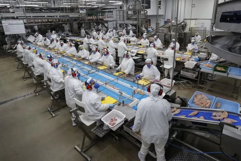 Indústria, Construção e Outros serviços geram mais de 750 mil postos de trabalho no trimestre - Foto: Jonathan Campos / AEN-PR