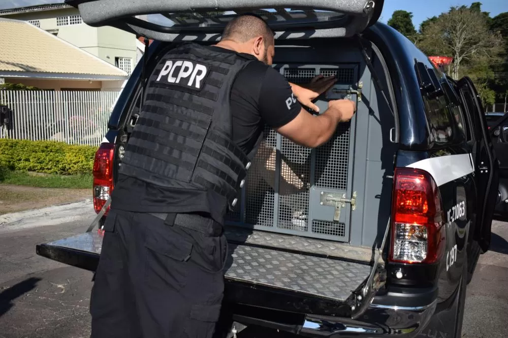 PCPR apreende caminhão furtado com 1,5 mil litros de combustível ilegal e prende dois homens em Curitiba Foto: Renata Magalhães/PCPR