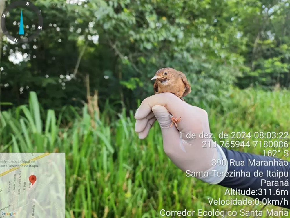 (Foto: Divulgação)