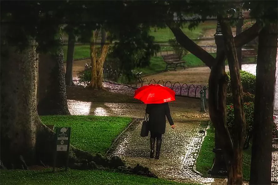 Chuva do fim de semana supera em até 84% a média mensal em algumas regiões do Paraná Foto: Jose Fernando Ogura/Arquivo AEN