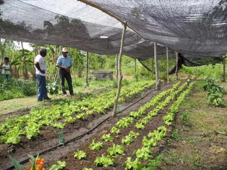 Foto: Raquel Brunelli