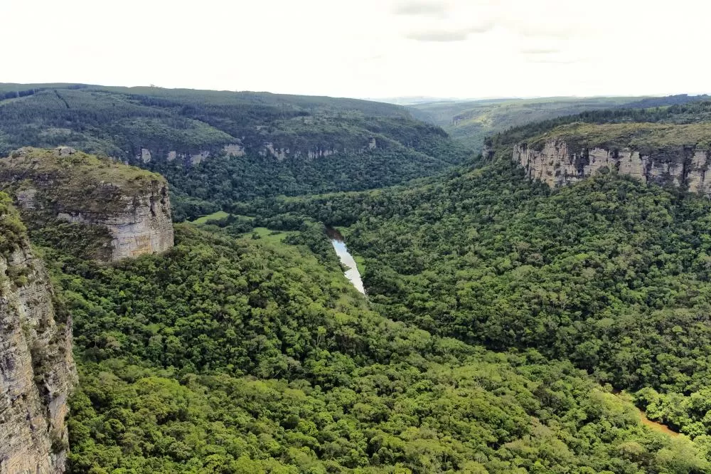 Paraná já liberou quase R$ 600 milhões em recursos da indenização da Petrobras para aplicar em projetos ambientais Foto: Denis Ferreira Netto/SEDEST