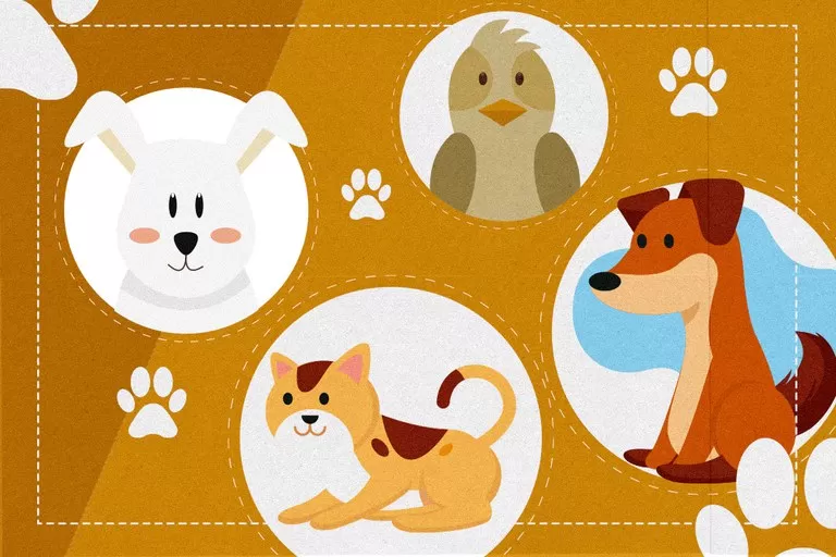 (Foto: Divulgação)