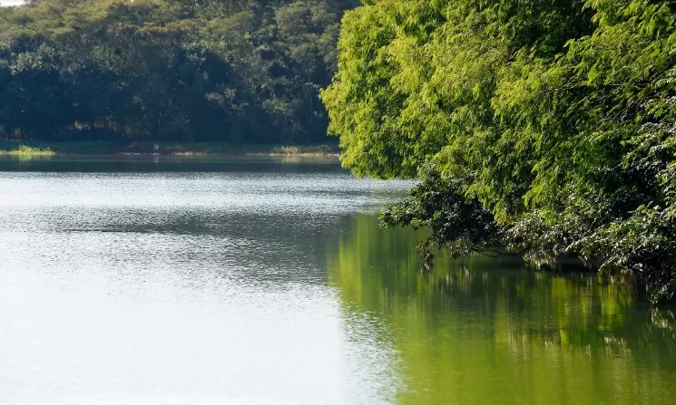 Emissão pelo IAT para outorga do uso da água cresce 42% em 2024 Foto: Denis Ferreira Netto/SEDEST