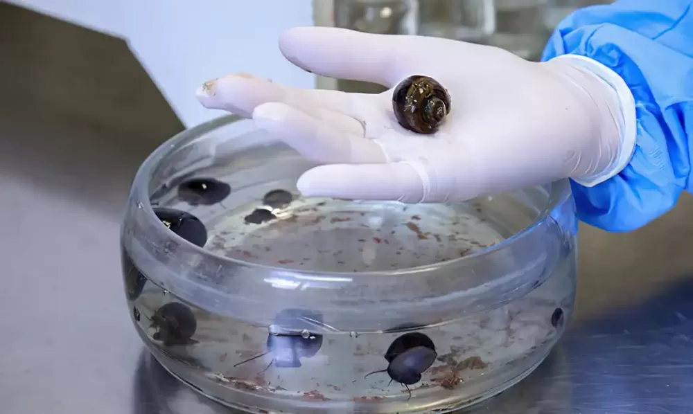  Josué Damacena/Fiocruz/Divulgação