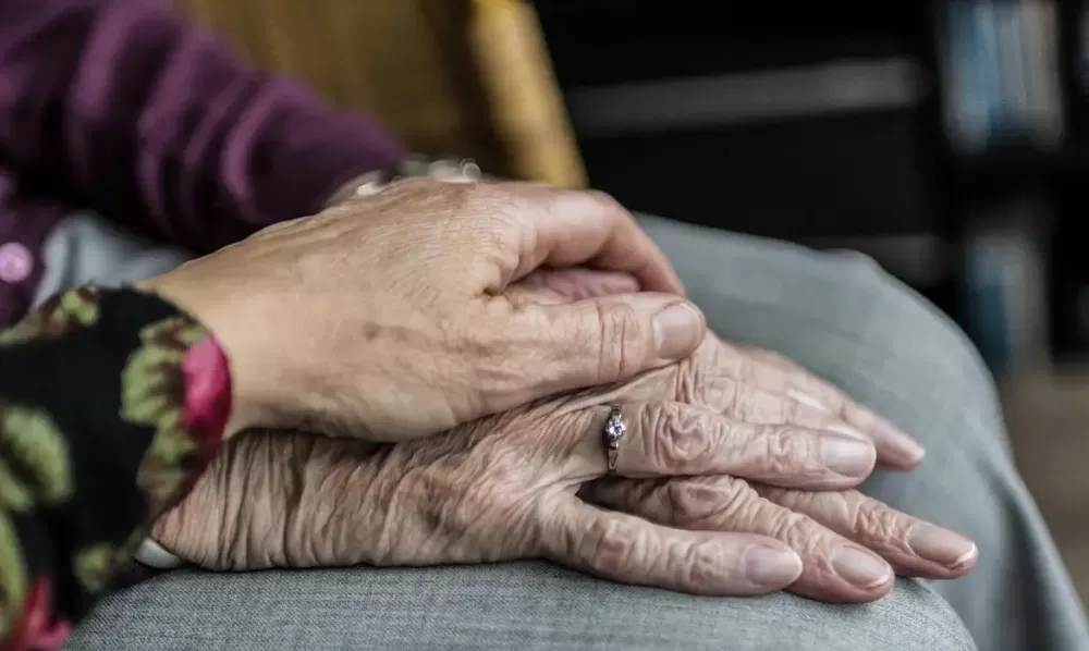  Sabinevanerp/ Pixabay