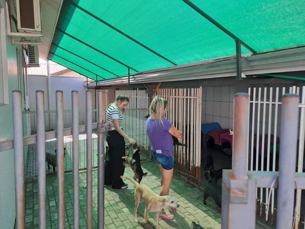 Secretaria de Meio ambiente visita Casas de Passagem de Proteção Animal