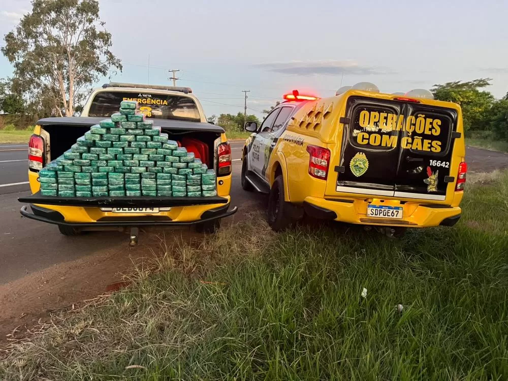 PMPR E PF apreendem 104kg de pasta base de cocaína em Cruzeiro do Oeste Foto: PMPR