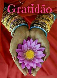 (Foto: Divulgação)