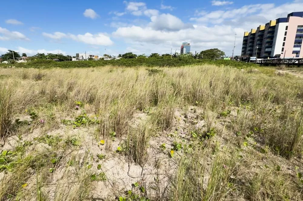 IAT destaca importância da restinga em ação de educação ambiental em Pontal do Paraná Foto: TV Paraná Turismo