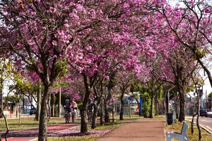 (Foto: Divulgação)