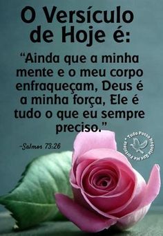 (Foto: Divulgação)