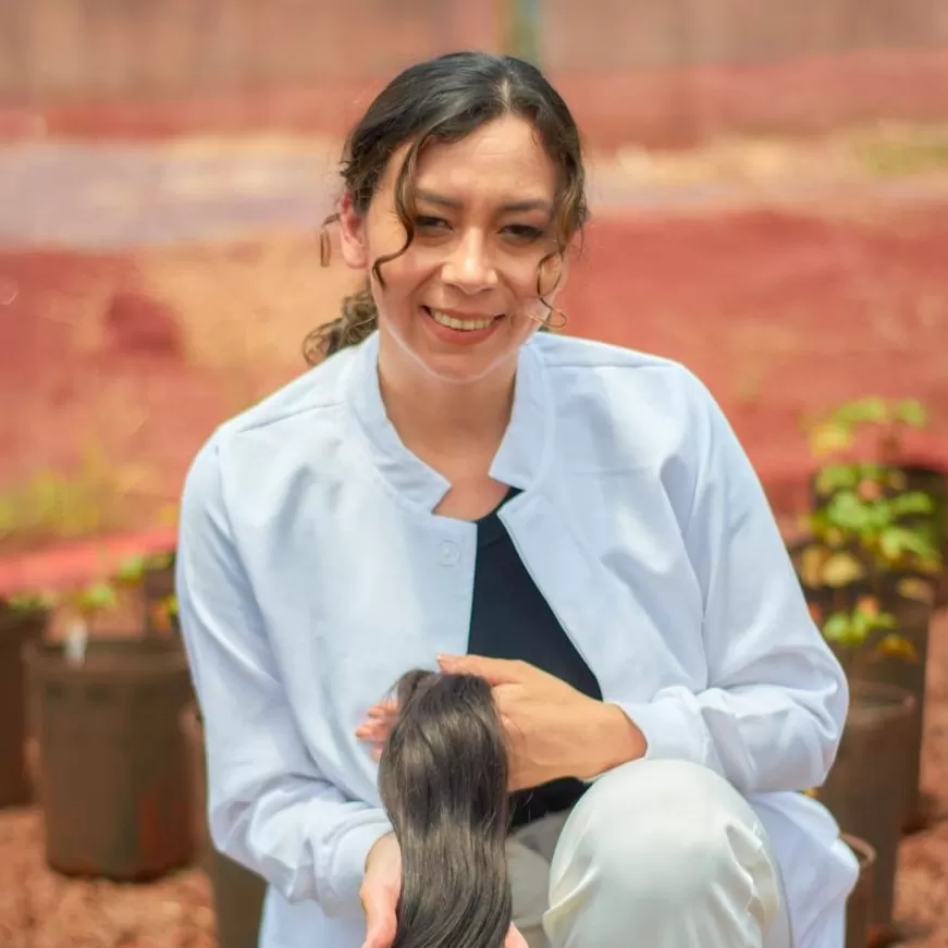 Pesquisadores da Unioeste transformam cabelo humano em adubo