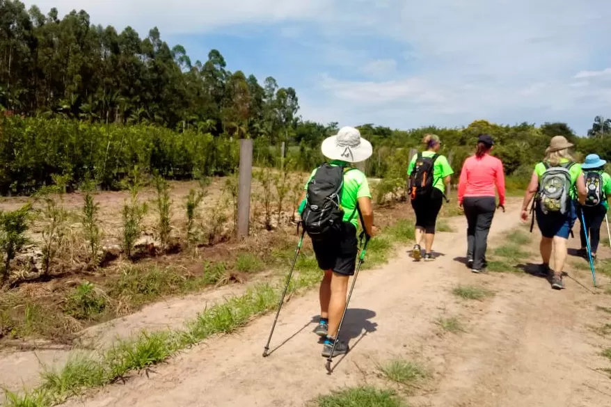 Circuito em Rio Negro abre calendário das Caminhadas na Natureza de 2025 Foto: IDR-PARANÁ