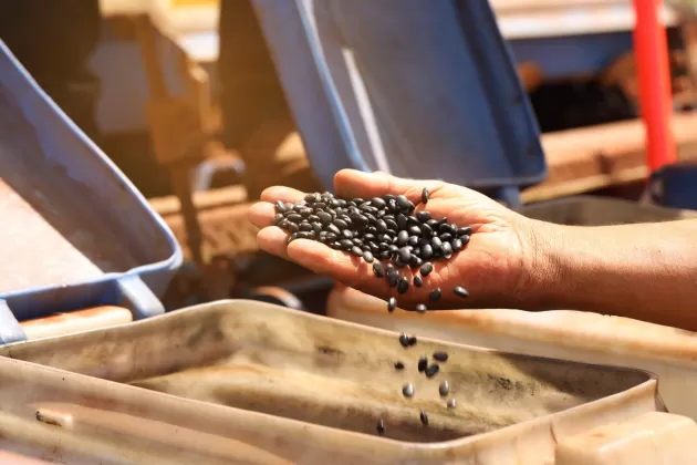 (Foto: Divulgação)