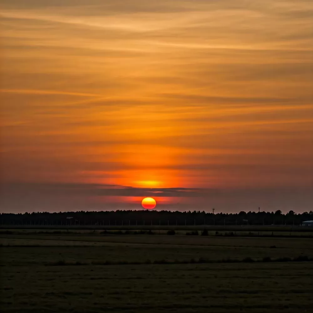 Imagem Gerada pela IA