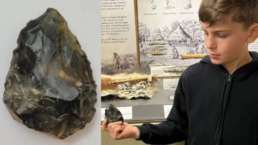 Machado neandertal de 50 mil anos é achado por garoto de 6 anos