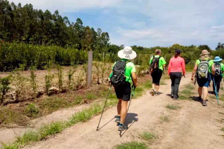 Caminhadas na Natureza levaram mais de 48 mil pessoas a praticar o turismo rural em 2024 Foto: IDR-PR