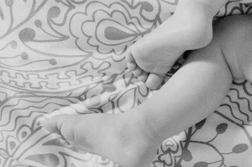 (Foto: Divulgação)