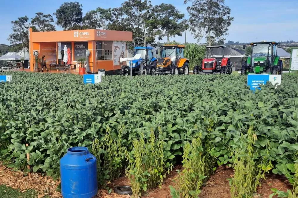 No Show Rural, IDR-PR vai orientar sobre aplicação de dejetos de criação nas lavouras Foto: IDR