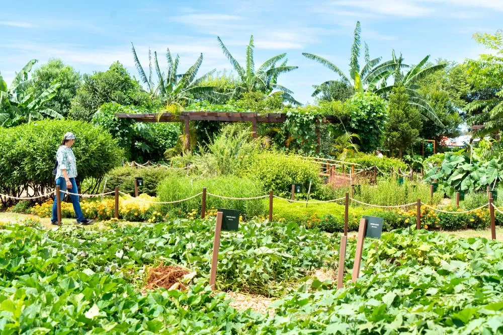 Foto da Unidade de Produção de Hidrocarbonetos. Crédito: Sara Cheida/Itaipu Binacional.