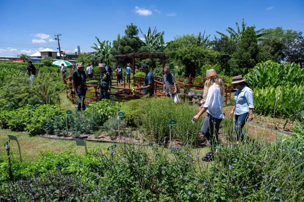 Crédito: William Brisida/Itaipu Binacional.