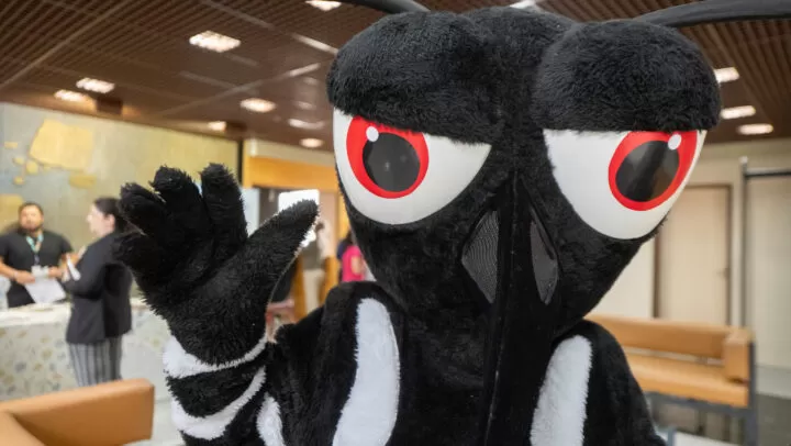 (Foto: Divulgação)