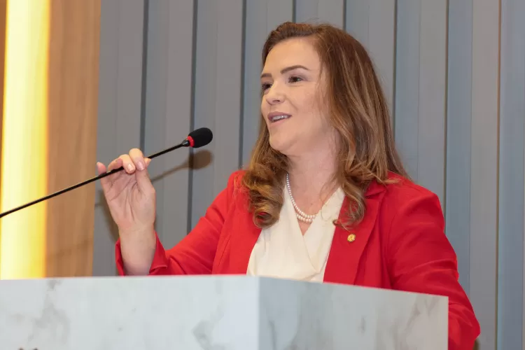 Mais de 80 municípios vão receber recursos do Estado para ações voltadas às mulheres Foto: SEMIPI