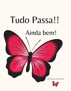 (Foto: Divulgação)