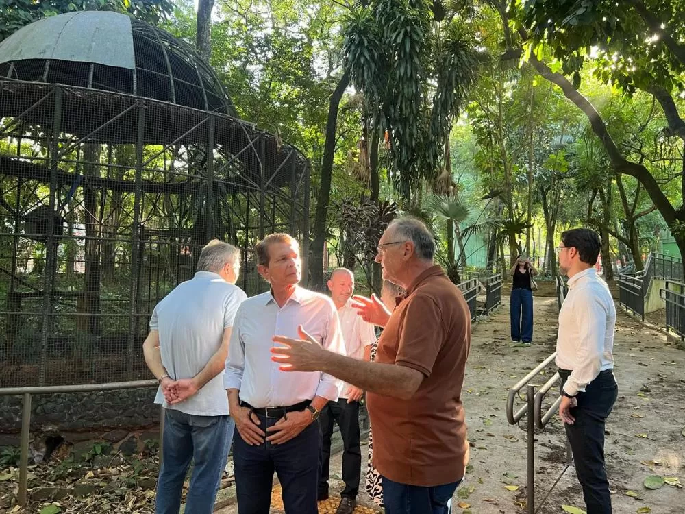 (Foto: Divulgação)