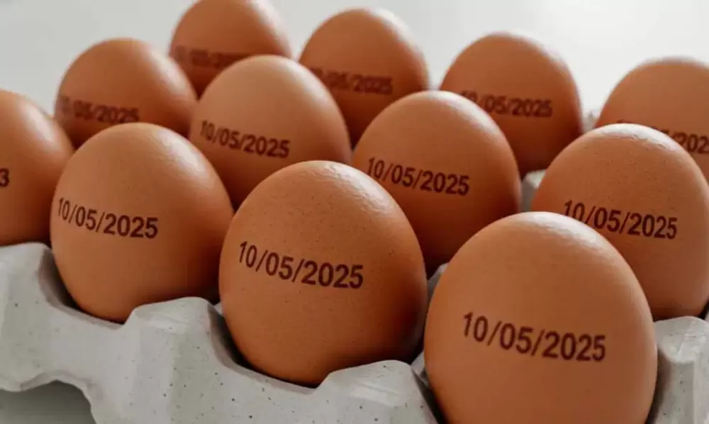  Prefeitura de Palmas/Divulgação