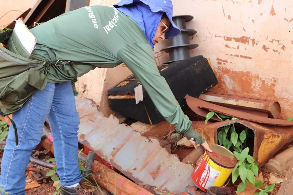 (Foto: Divulgação)