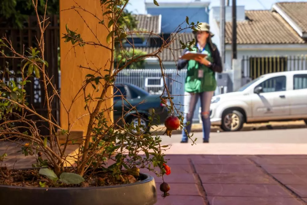 (Foto: Divulgação)