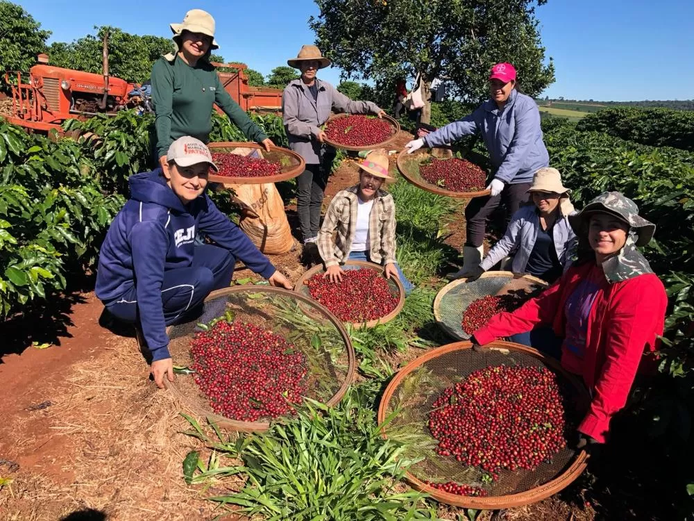 IDR-Paraná tem ações voltadas ao fortalecimento das mulheres no meio rural Foto: IDR