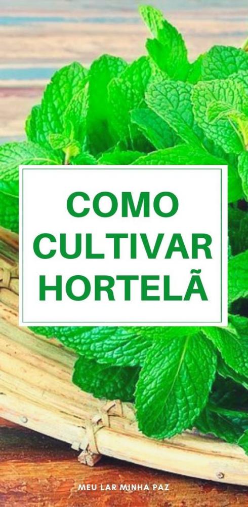 (Foto: Divulgação)