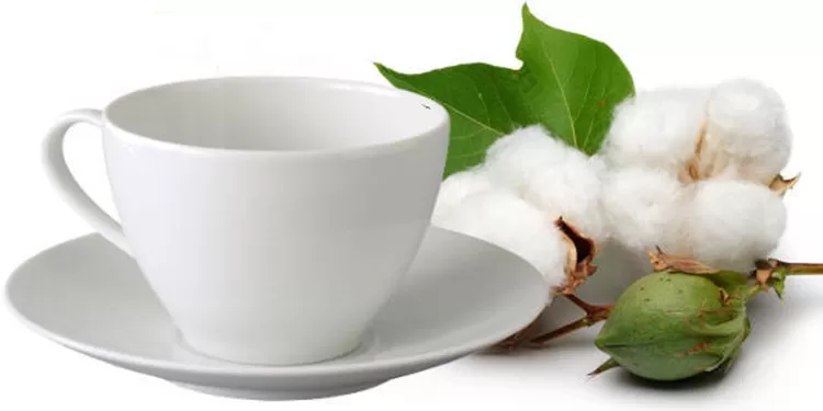 (Foto: Divulgação)