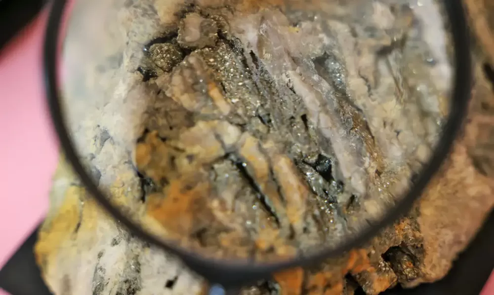 Tomaz Silva/Agência Brasil