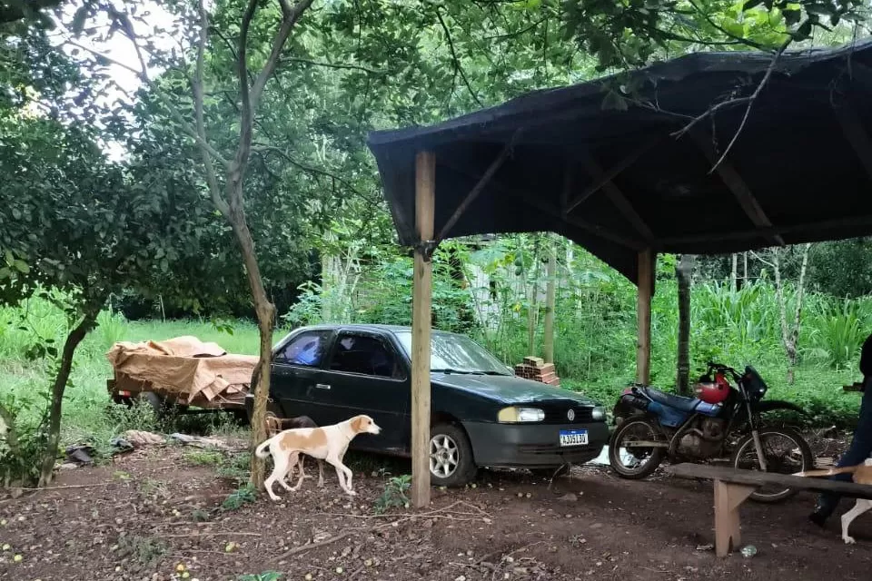 Em paralelo à Piracema, IAT aplica R$ 12,7 milhões em multas por crimes ambientais