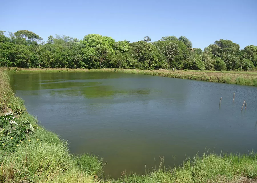 Foto: Clenio Araújo