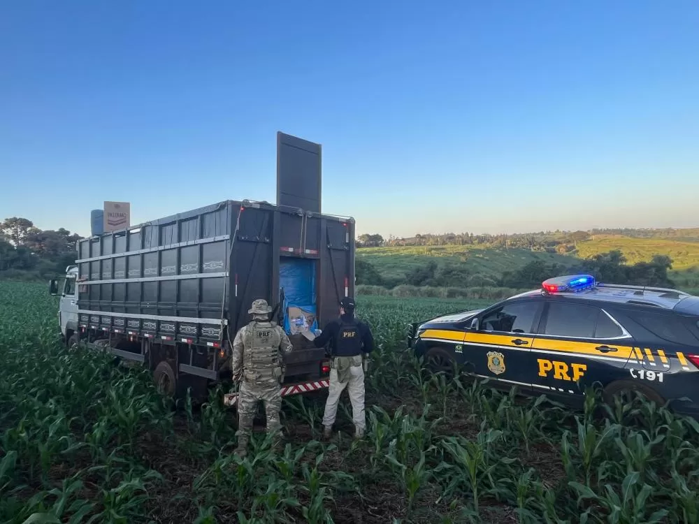 (Foto: Divulgação)