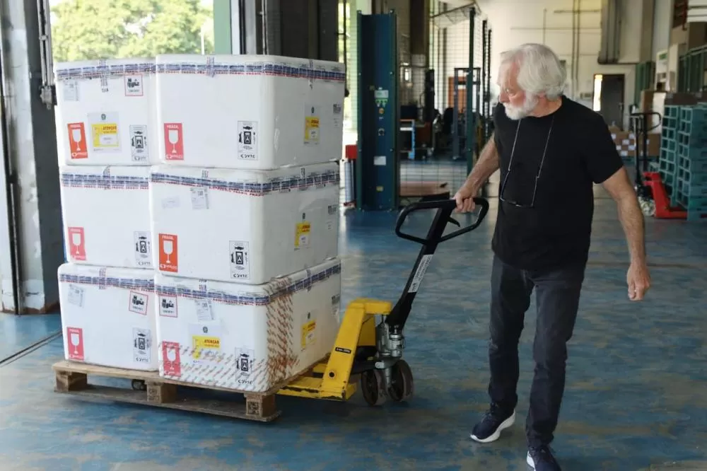 Paraná recebe 332 mil vacinas contra Influenza e se prepara para início da campanha Foto: Alessandro Vieira/SESA-PR