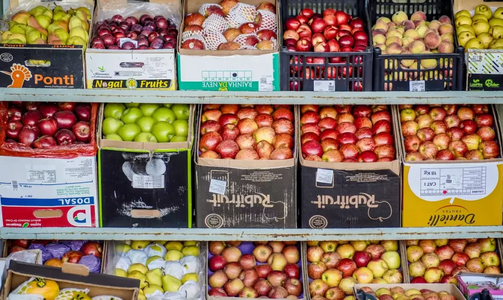 Rafa Neddermeyer/Agência Brasi