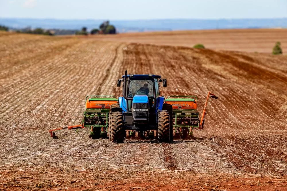 (Foto: Divulgação)