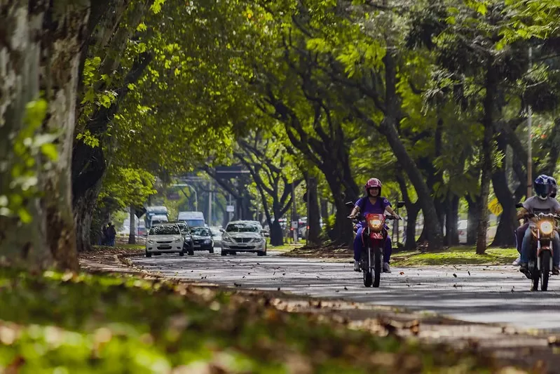 (Foto: Divulgação)