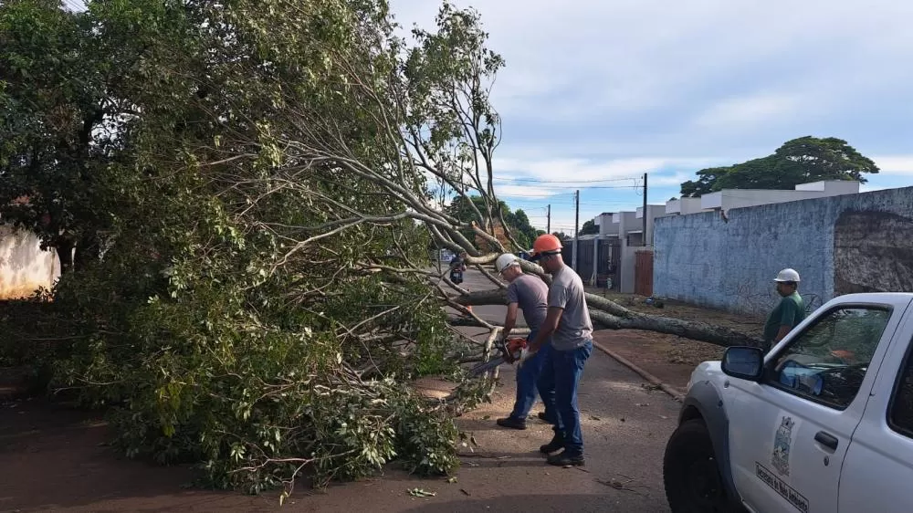(Foto: Divulgação)