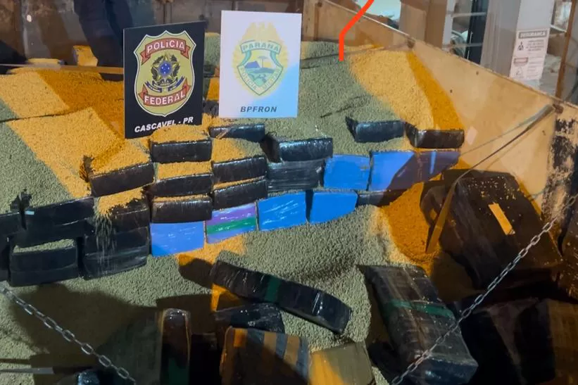 BPFRON e Polícia Federal apreendem 2,3 toneladas de maconha em Cascavel Foto: PMPR