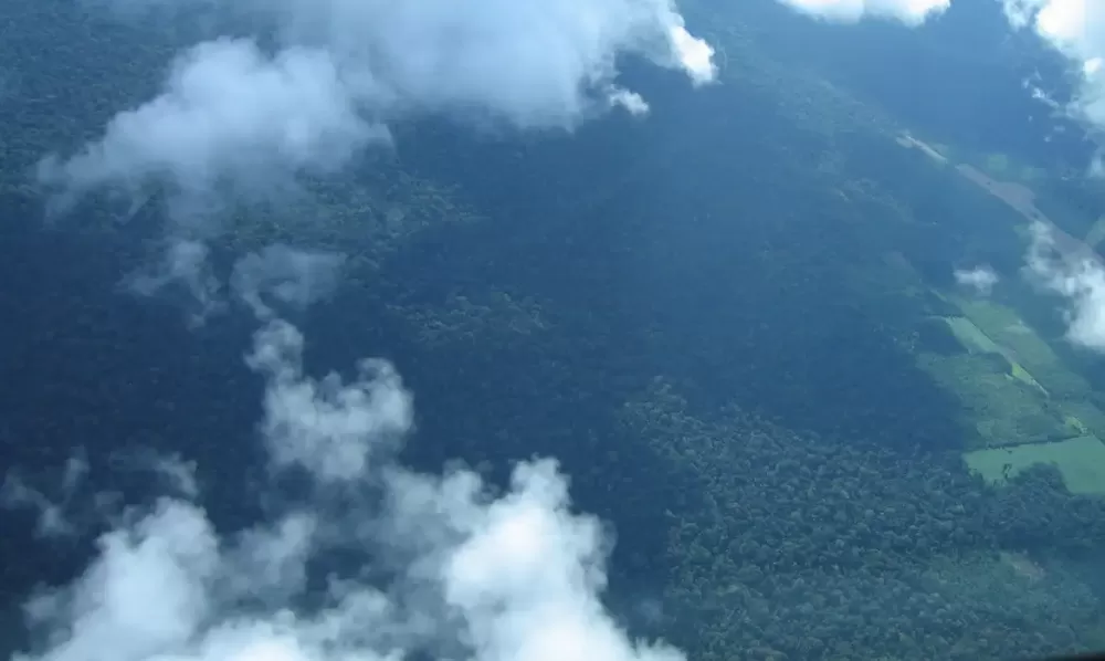 Luciana Gatti/Divulgação