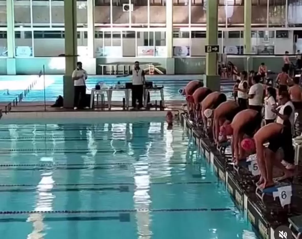 (Foto: Divulgação)