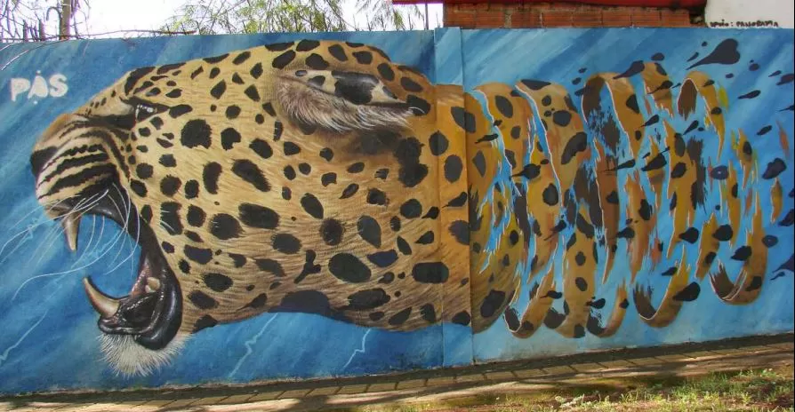 Obra de Pas Schaefer